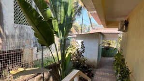 Un espacio exterior cubierto con una escalera de concreto, una cerca metálica y diversas plantas.