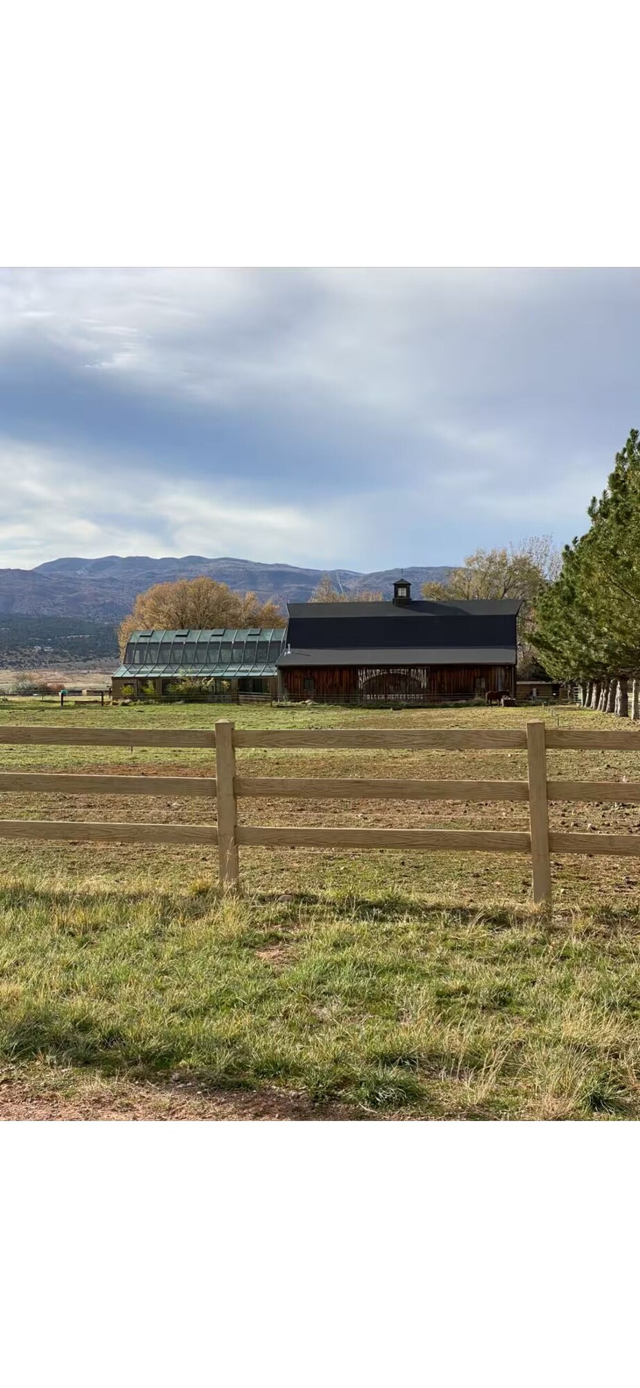 Imagen de perfil del propietario o de la propietaria