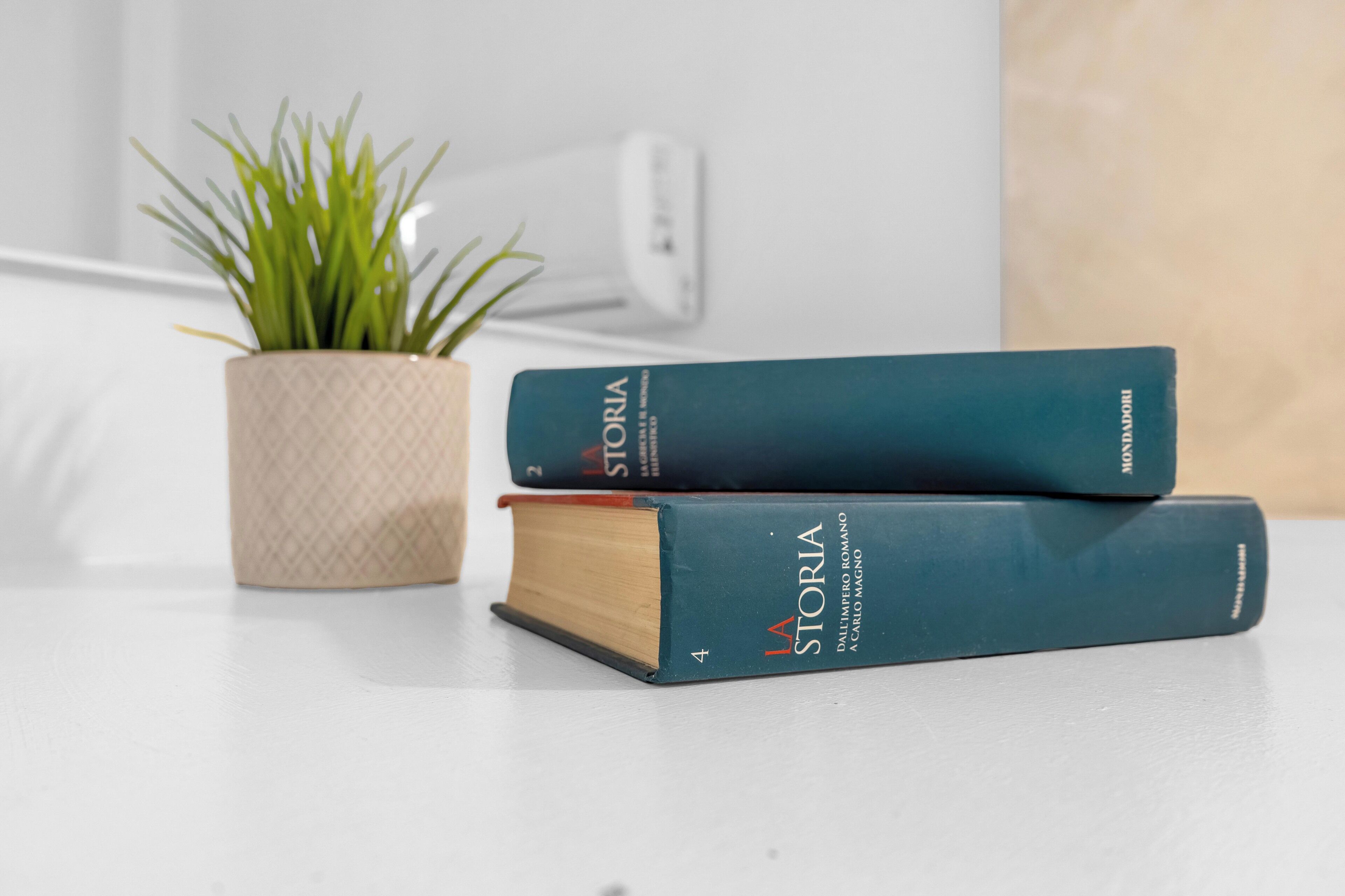 Dos libros titulados 'LA STORIA' apilados sobre una superficie blanca, con una planta en maceta a su lado.