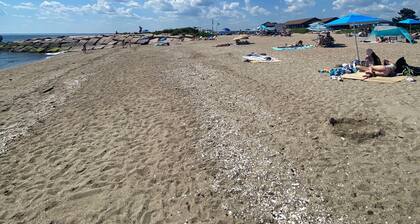 Nice 1-bedroom cottage with AC in charming Madison