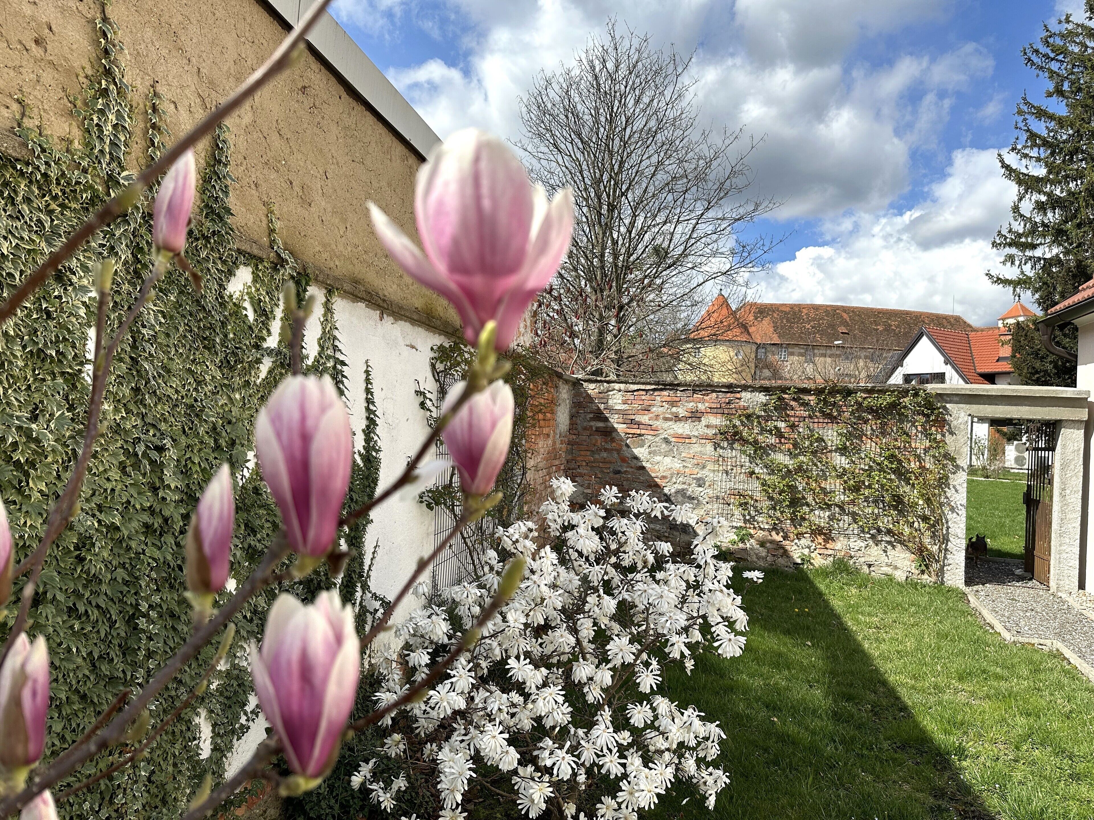 A garden with flowering plants and a brick wall.