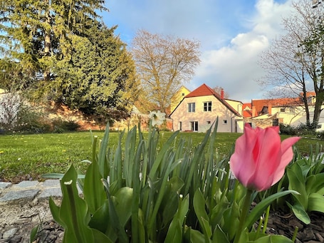 Property grounds. Peaceful Yoga & Meditation Retreat Stay in the heart of Slovenska Bistrica city