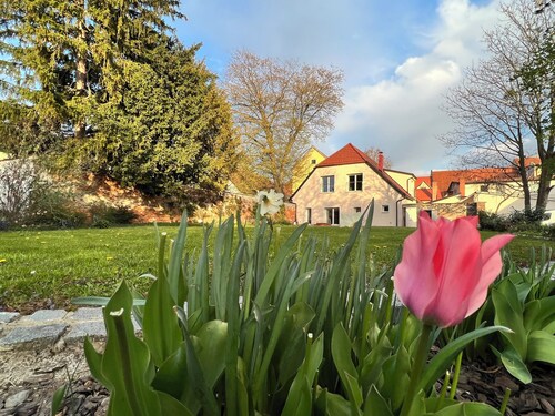 Peaceful Yoga & Meditation Retreat Stay in the heart of Slovenska Bistrica city