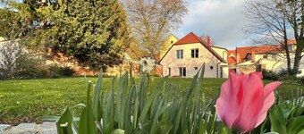 Peaceful Yoga & Meditation Retreat Stay in the heart of Slovenska Bistrica city