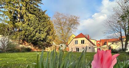 Peaceful Yoga & Meditation Retreat Stay in the heart of Slovenska Bistrica city
