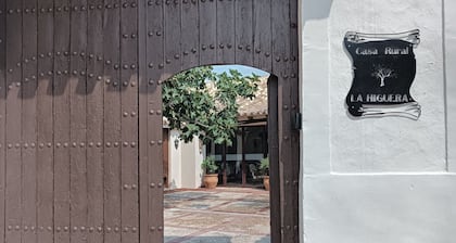 Ideal house for families, groups with children or friends.