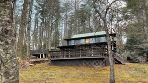Une cabane dotée d’une terrasse et d’un escalier, entourée d’une forêt.