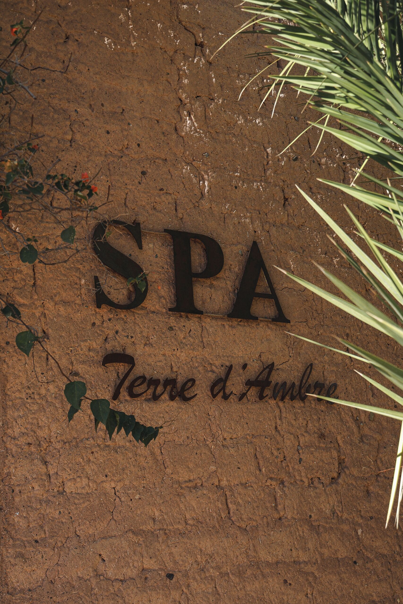 A sign with the word 'SPA' and the phrase 'Terre d'Amour' on a textured wall.