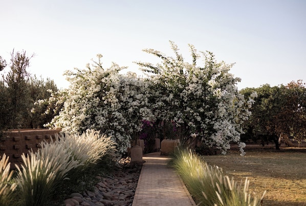Enceinte de l’hébergement