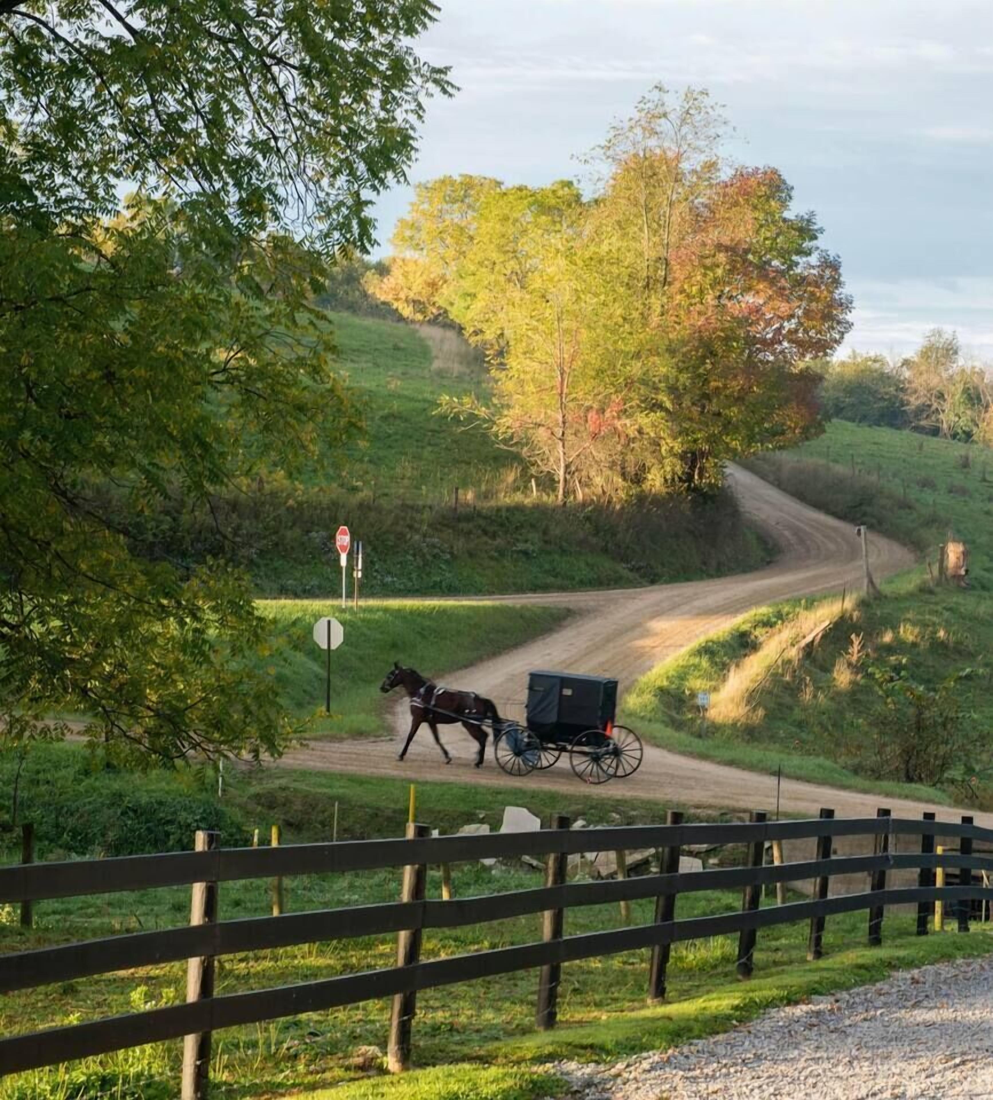 A rural road with a horse-drawn carriage.