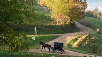 A rural road with a horse-drawn carriage.