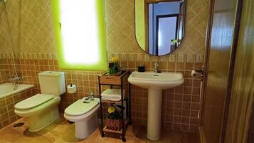 Shower, hair dryer, bidet, towels