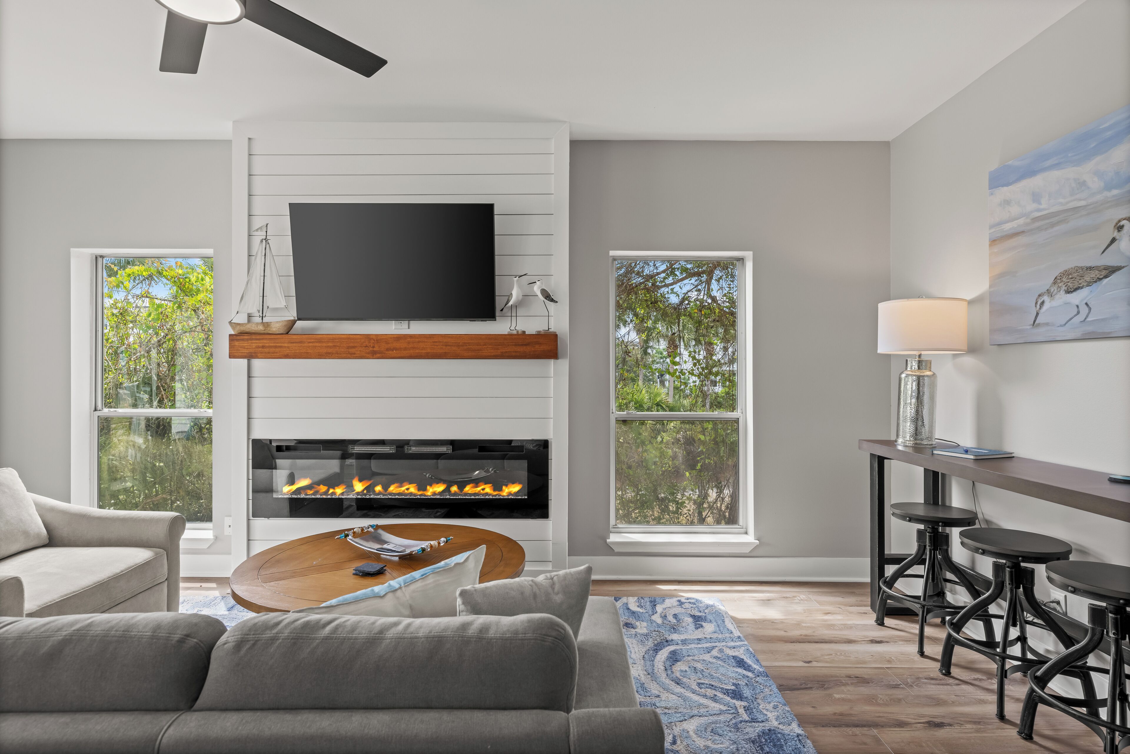 Smart TV, fireplace, books