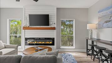 Smart TV, fireplace, books