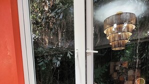 Ein Fenster mit Blick auf dichtes Grünwerk und einer Pendelleuchte.