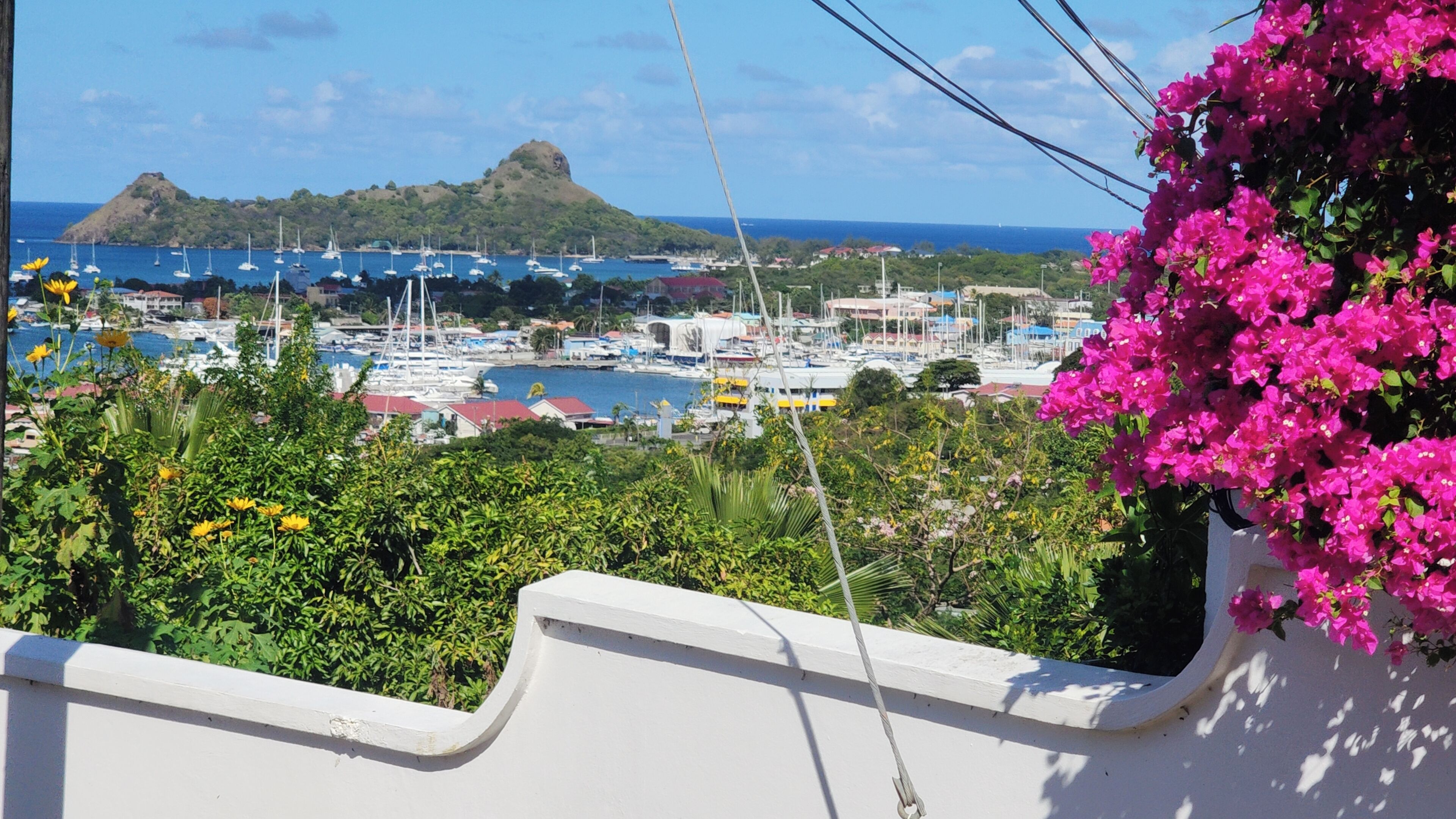 Un pueblo costero con un puerto deportivo, barcos y una colina al fondo.