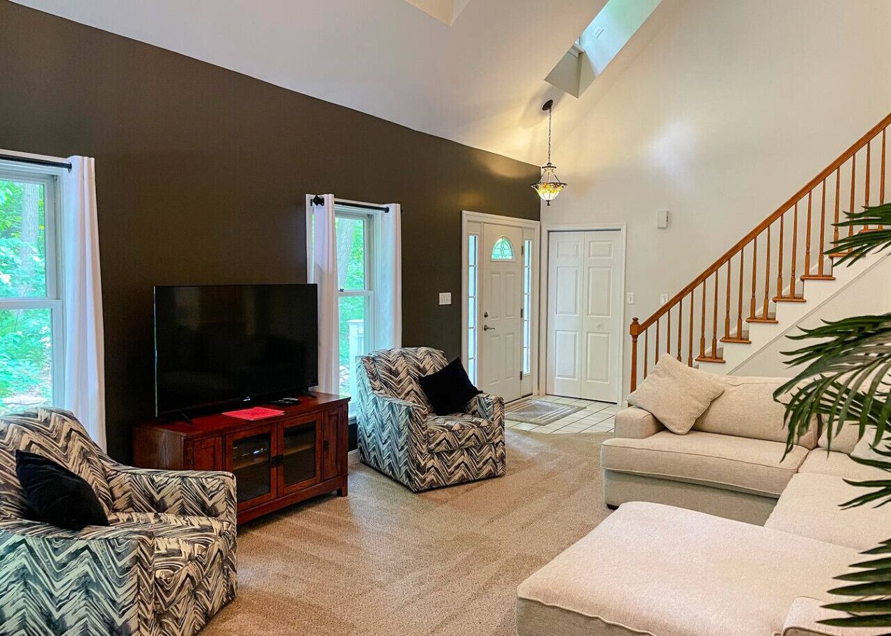 TV, fireplace, books