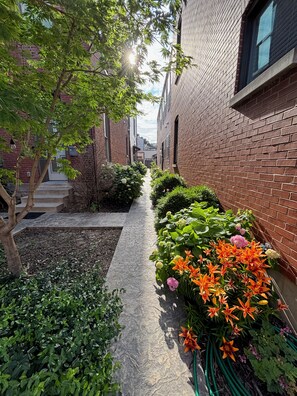 Une ruelle étroite bordée d’immeubles en briques, avec un arbre et un parterre fleuri où poussent différentes plantes et fleurs.