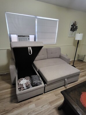 Smart TV, books - Timekeepers Haven a 1BR Apartment near Stetson in the Heart of DeLand (DeLand)
