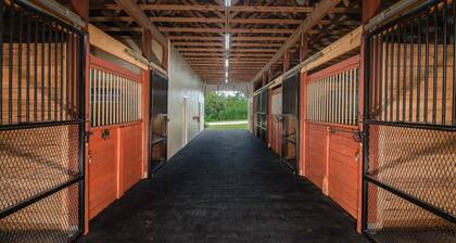 Premium King One-Bedroom Cottage