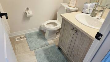 Assecador de cabells, tovalloles, sabó i paper higiènic