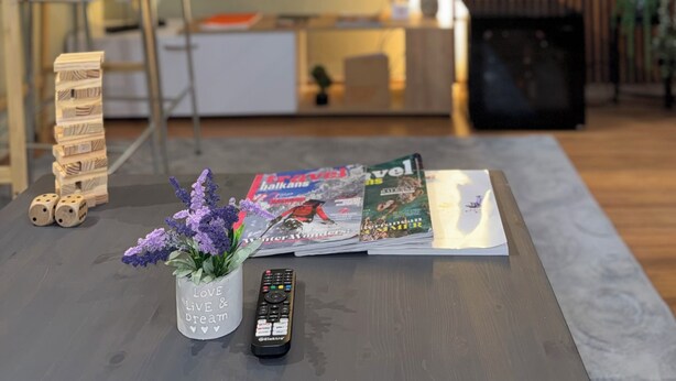 Ein Wohnzimmer mit Fernseher, Couchtisch mit Zeitschriften, Fernbedienung und einer kleinen Pflanze.
