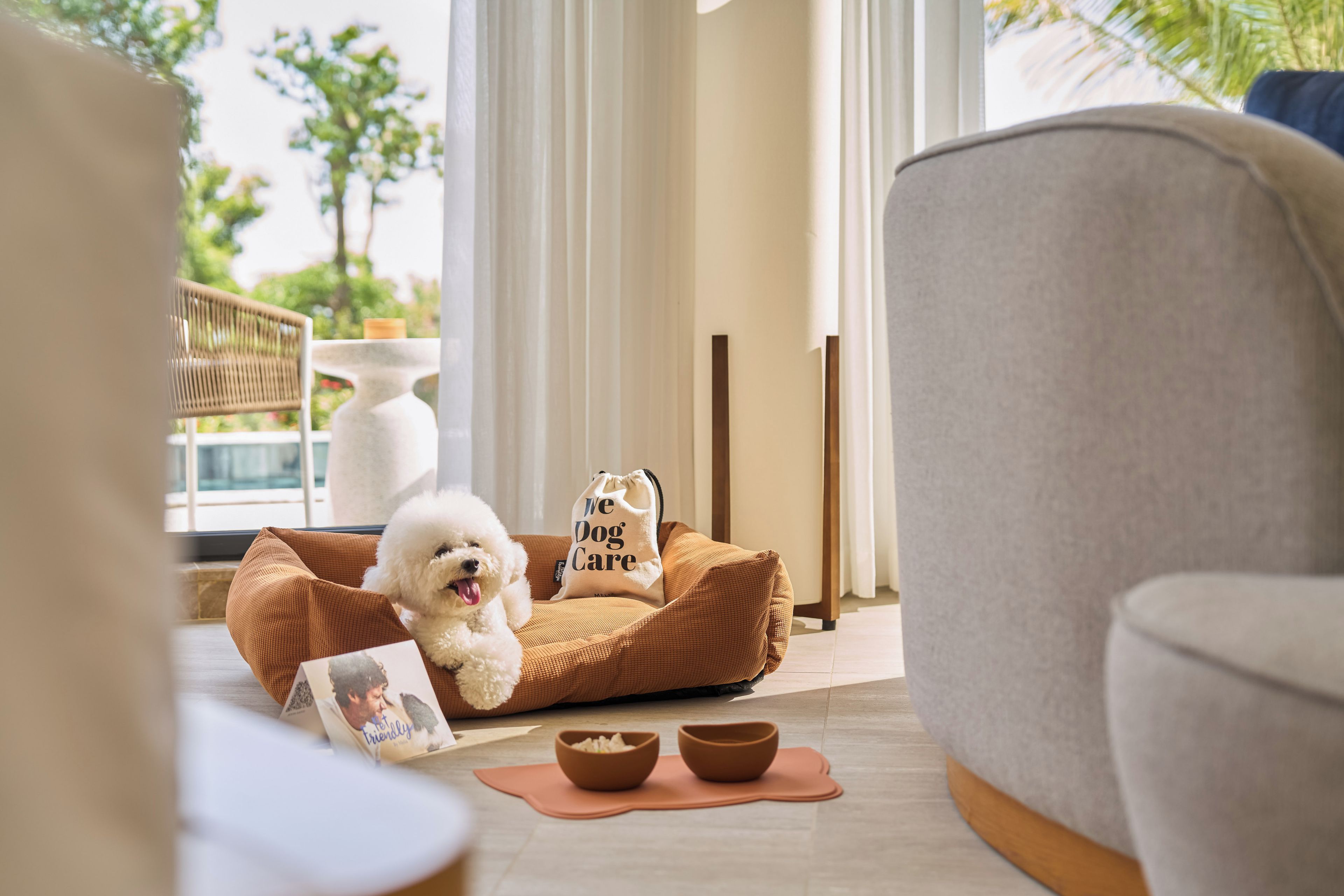 Un perro descansando en una cama con una bolsa 'We Dog Care' a su lado, un plato sobre una alfombra y un álbum de fotos en el suelo.