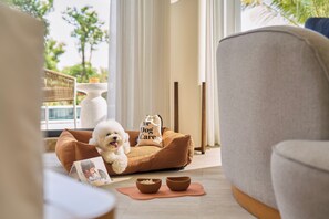 A dog resting on a bed with a 'We Dog Care' bag beside it, a bowl on a mat, and a photo book on the floor. - Melia Serenity Cam Ranh Beach Resort (Cam Lam)