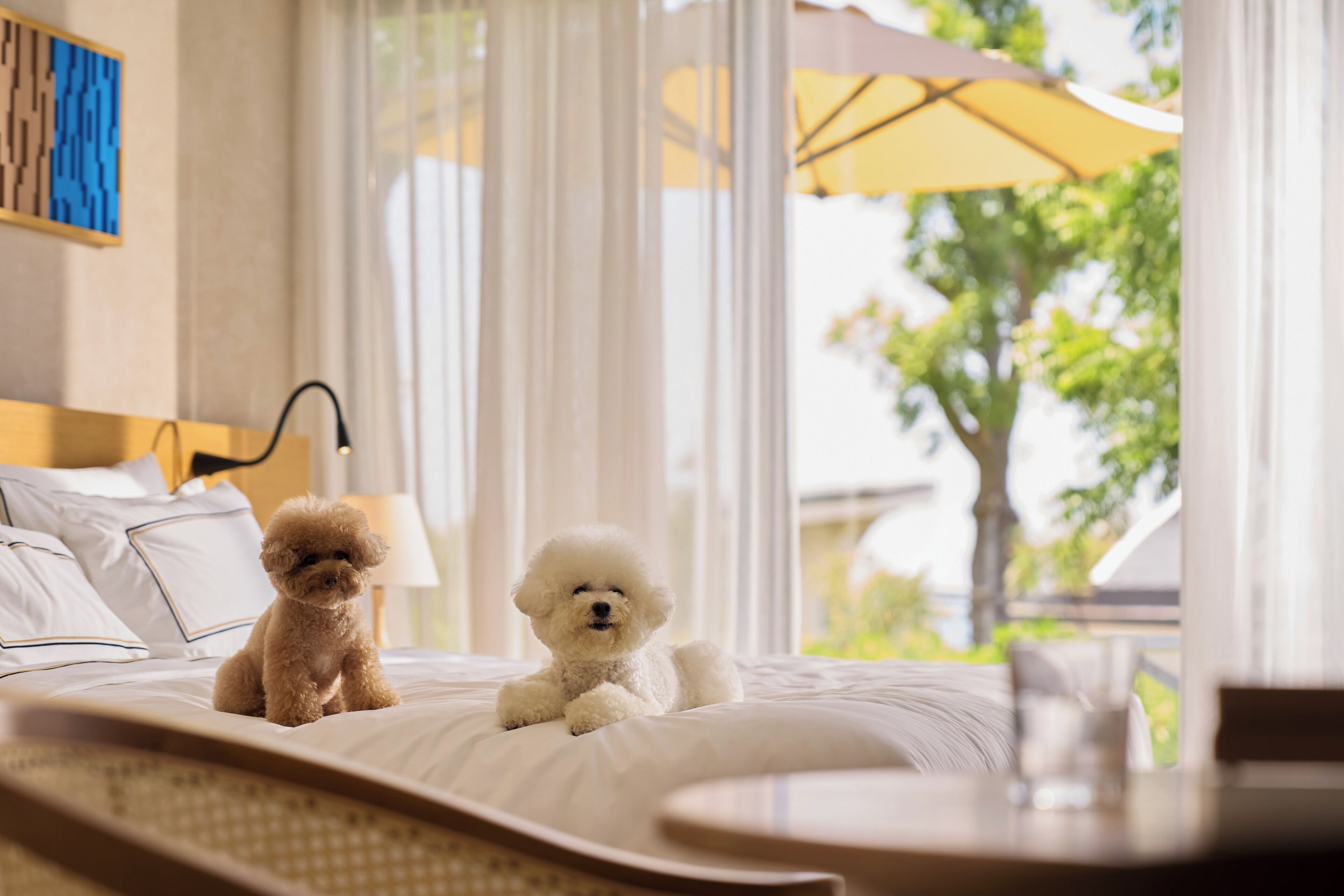 A hotel room with a bed, a lamp, and a view of greenery outside.