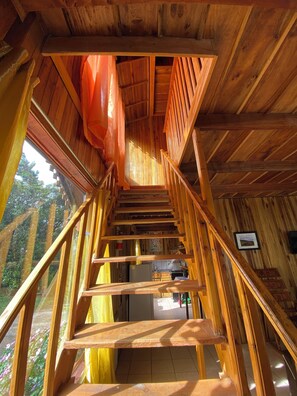 Interior - Alojamiento sencillo, sin lujos, ideal para descansar rodeado de naturaleza (Monteverde)