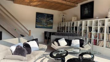 Televisie, een dvd-speler, boeken en een muziekbibliotheek