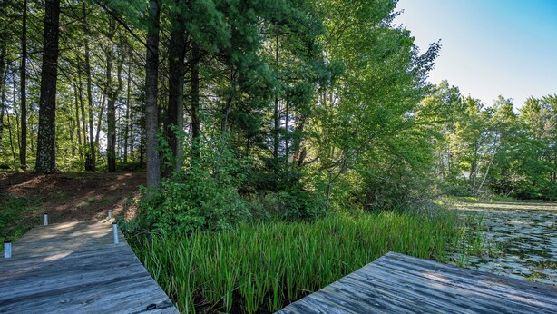 A wooden dock extending into a pond surrounded by dense greenery and trees. - Cozy 1-bedroom cottage with waterfront views (Townsend)
