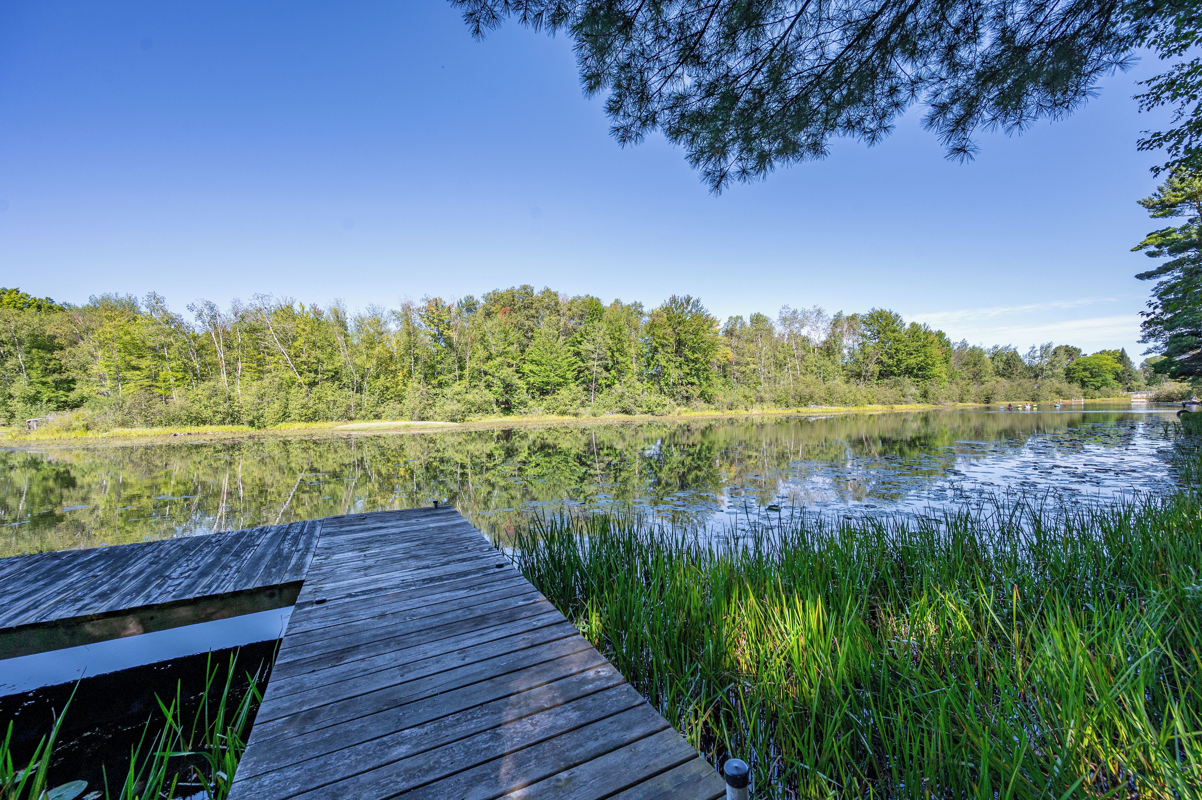 A wooden dock extending into a calm lake surrounded by dense trees.