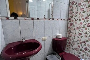 Shower, towels, soap, toilet paper - Entire accommodation: rental unit in Cusco, Peru (Cusco)