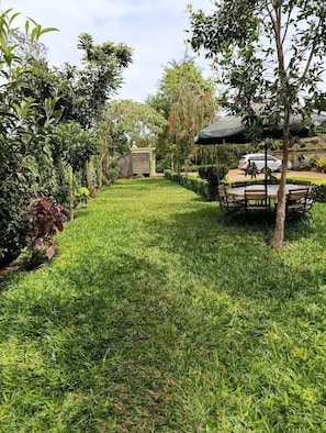 Garden - Calm Breeze Resort Rwanchege (Chogoria)