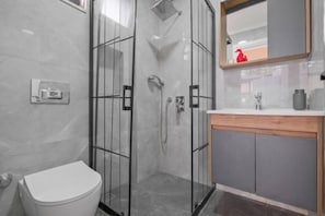 Shower, hair dryer, towels