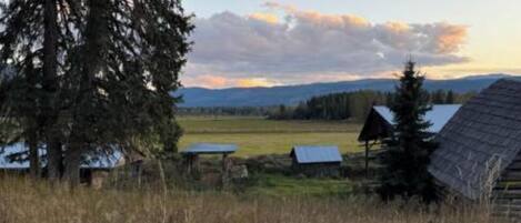 A rural landscape with a large tree, a barn, and a small house with a sloped roof.