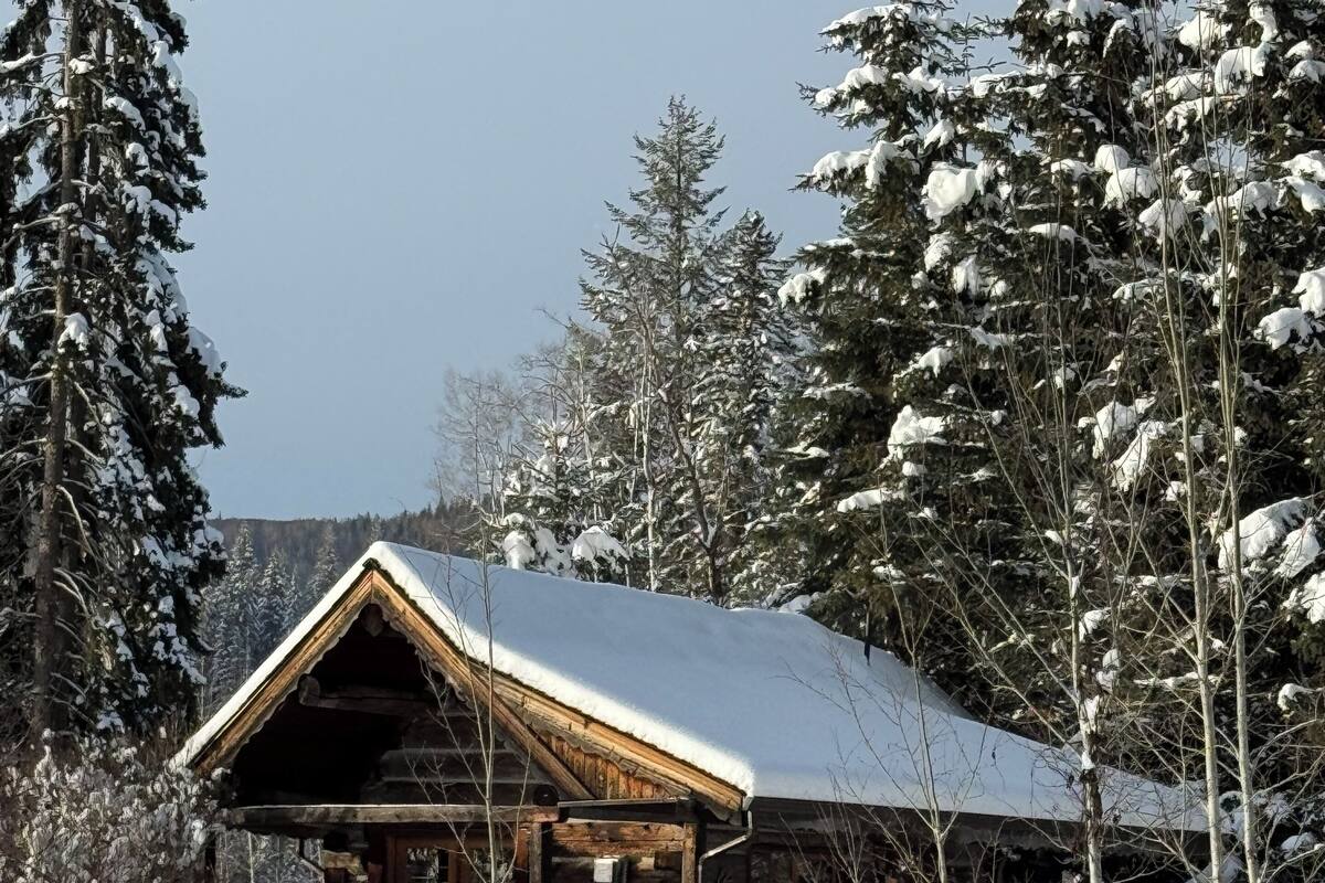 Uma cabana de madeira com telhado coberto de neve, rodeada por árvores carregadas de neve.