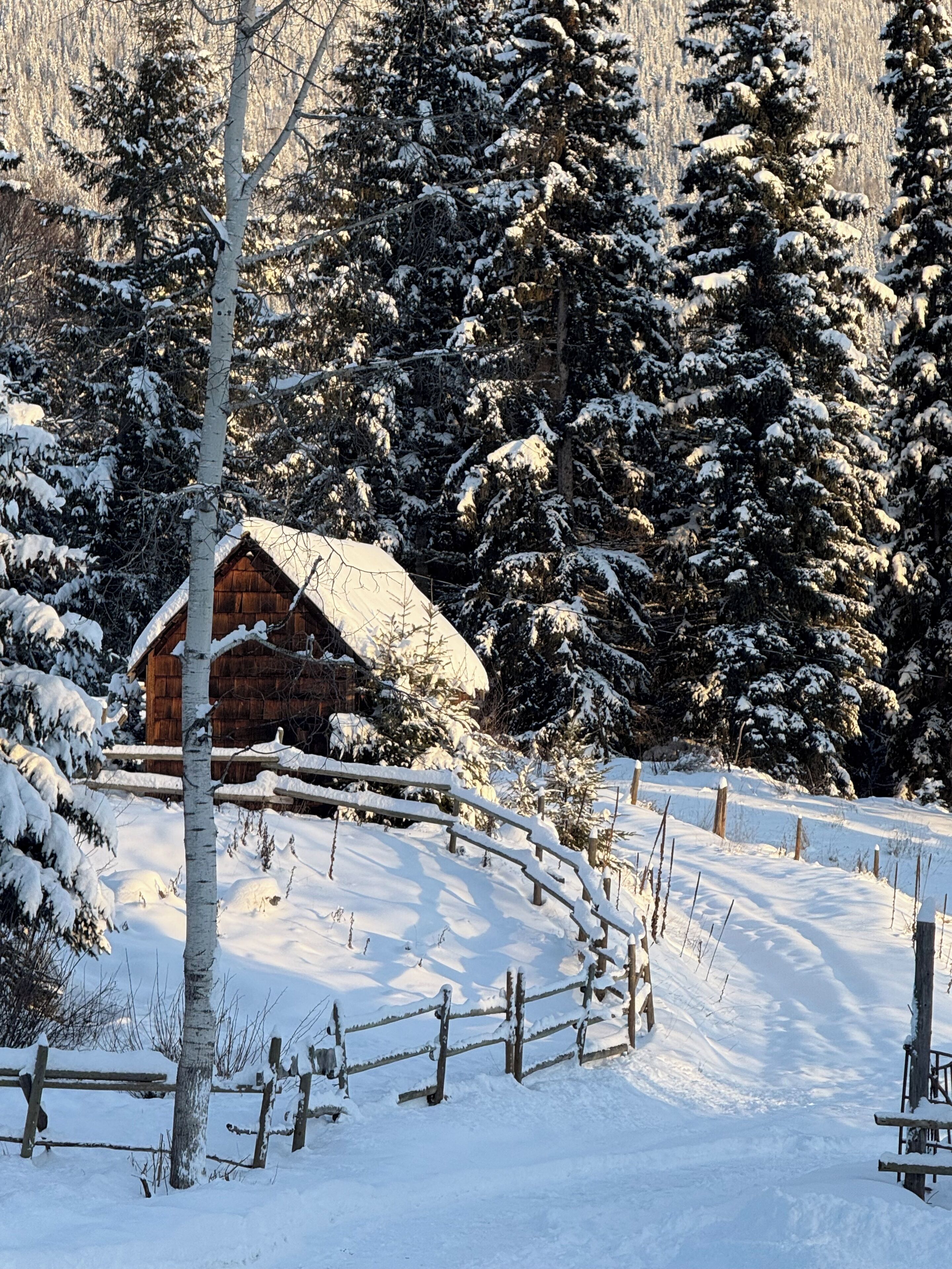 Classic-Haus, Gartenblick | Unterkunftsgelände