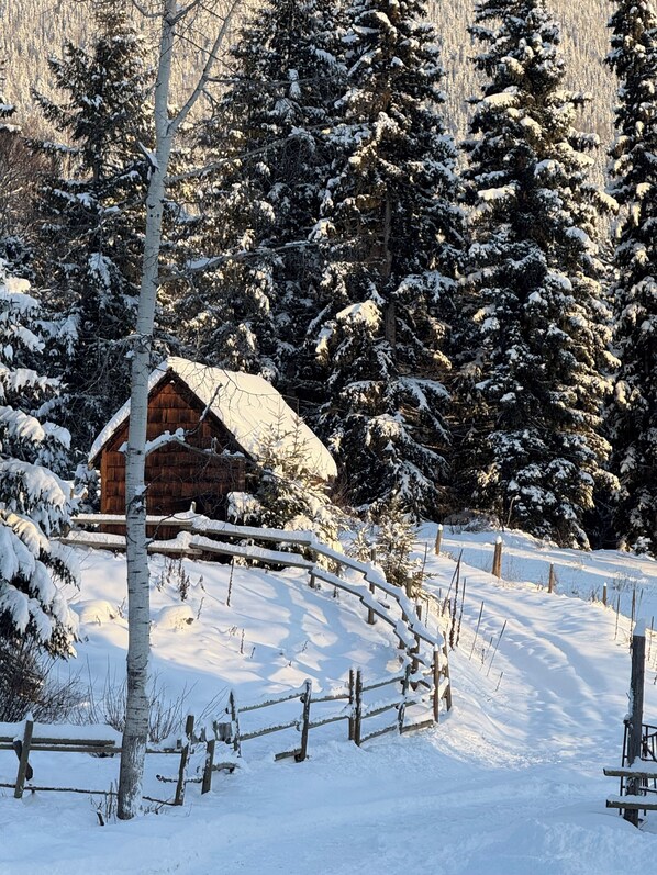 Classic-talo, näköala puutarhaan | Ulkoalueet