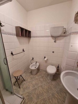 Regadera, secadora de cabello, bidet, toallas 