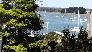 Un puerto deportivo con barcos, árboles y cielo despejado.