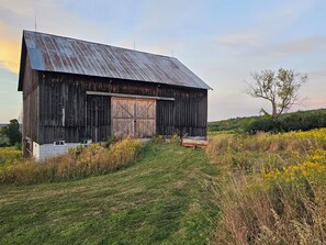Exterior - Holly Hill Farm Mod/Rustic 3Bed, 3 Full Bath, Farm Home with Primary Bath Suite! (Hornell)