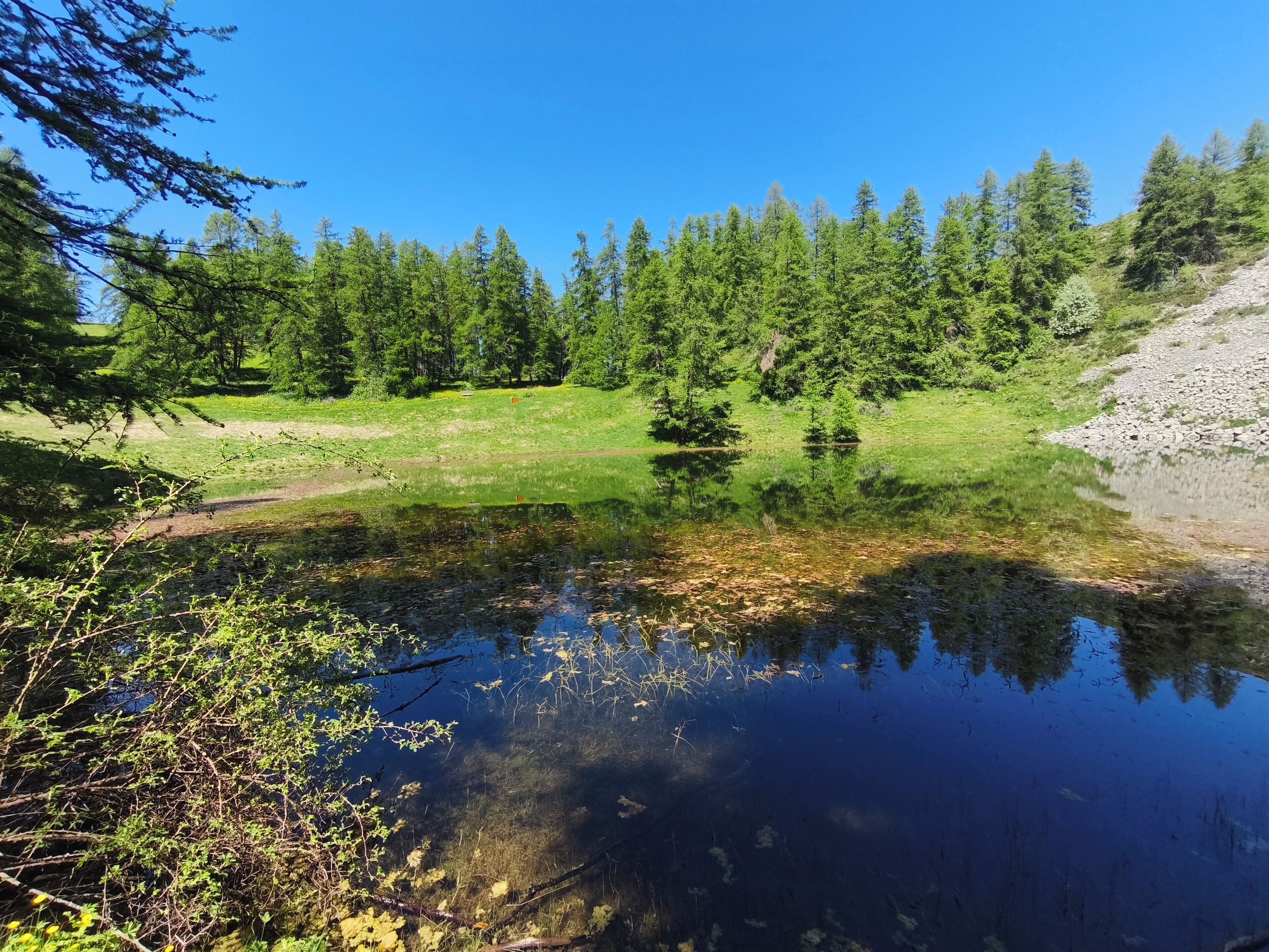 A serene lake surrounded by dense forest and a clear blue sky.