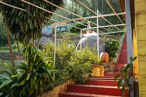 Área da propriedade