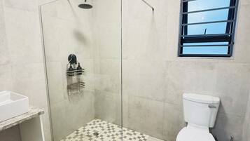 Shower, towels, soap, toilet paper