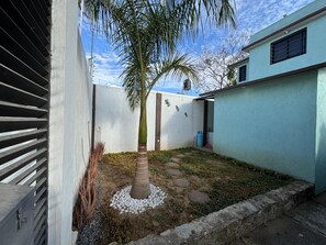 A courtyard with a palm tree, a concrete wall, and a pathway.