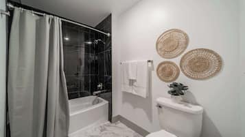 Chuveiro, secador de cabelo, toalhas de banho, shampoo