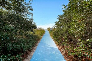 Un sentier bordé d’une végétation luxuriante qui mène à une construction située au loin.