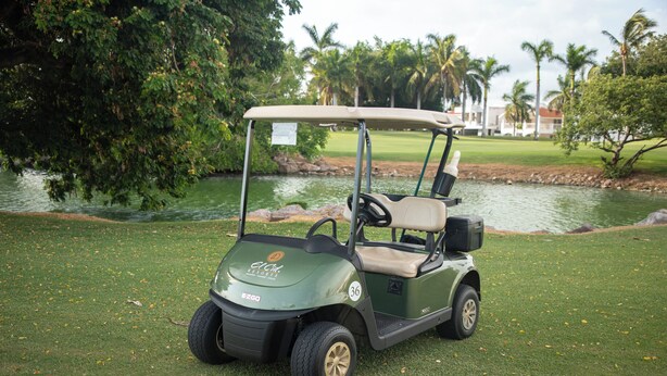 A golf cart parked on a grassy area near a body of water with trees and a building in the background. - El Cid El Moro Beach Hotel - All Inclusive (Mazatlán)
